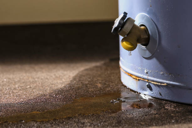 Best Water damage restoration mold remediation  in Shorewood Tower Hills Harbert, MI