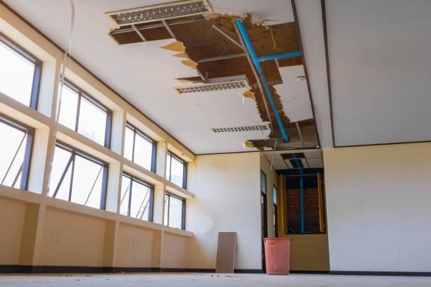 Best Basement water damage restoration  in Shorewood Tower Hills Harbert, MI
