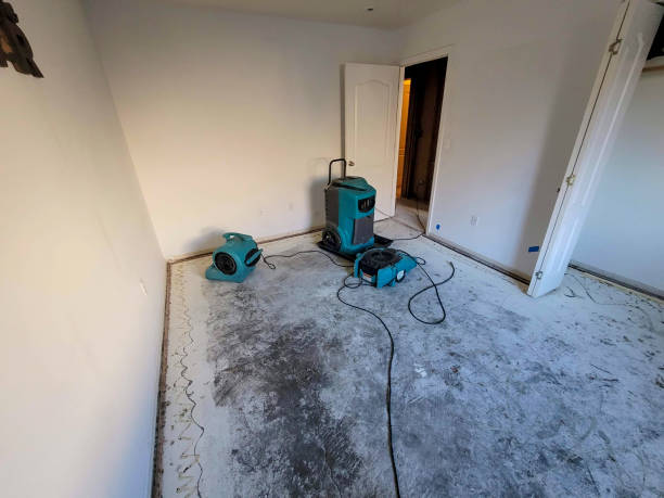  Shorewood Tower Hills Harbert, MI Water damage restoration Pros
