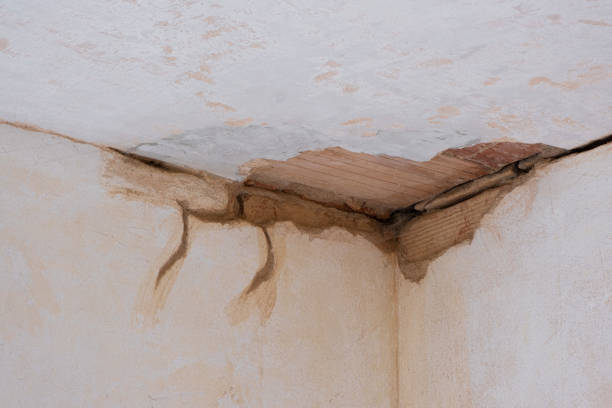 Best Ceiling water damage repair  in Shorewood Tower Hills Harbert, MI