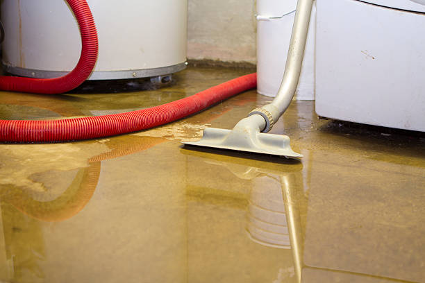 Best Mold removal after water damage  in Shorewood Tower Hills Harbert, MI