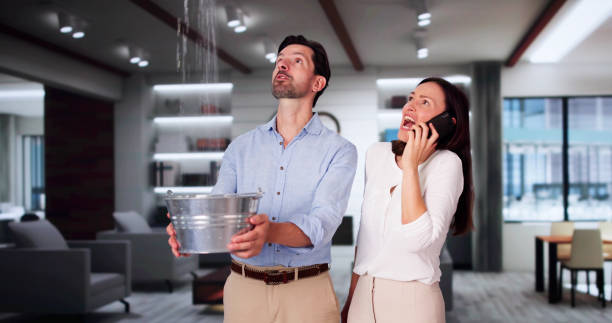 Best Local water damage restoration  in Shorewood Tower Hills Harbert, MI
