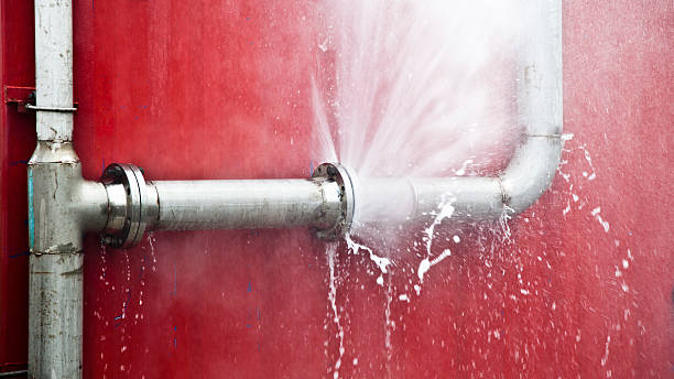 Best Water damage cleanup near me  in Shorewood Tower Hills Harbert, MI